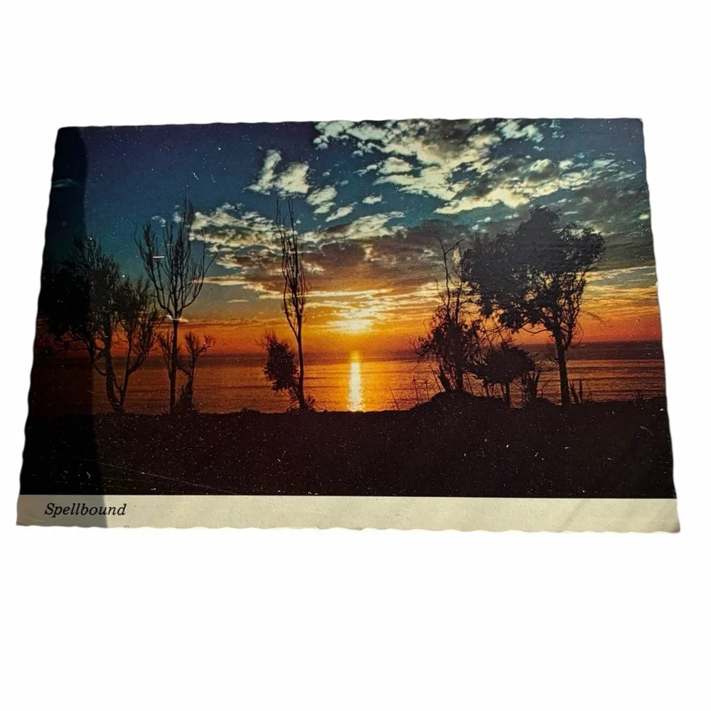 Spellbound” Sunset Postcard — Golden Lake View, Nature Photography